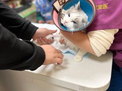 -康成宠物医院24H·CT·核磁共振