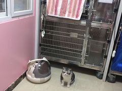 -美联众合动物医院·24h转诊中心