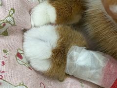 -美联众合动物医院·24h京西诊疗中心