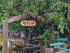 -南京老山国家森林公园