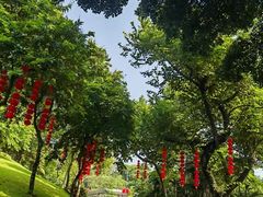 -广州市白云山风景名胜区