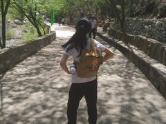 -北京上方山国家森林公园