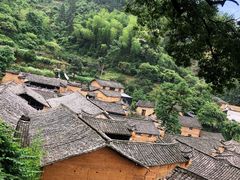 -杨家堂村