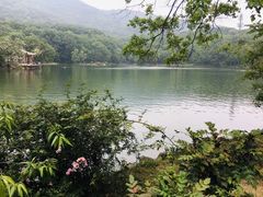 -紫霞湖公园
