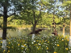 -上海浦江郊野公园-5号停车场