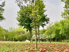 -郑州中国绿化博览园