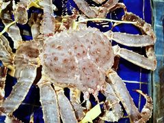 -79号渔船海鲜饭店(华强北店)