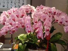 -明州小宴(文化广场店)