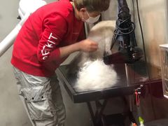 -PETKIT小佩宠物(昭化店)