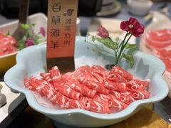 -百草滩羊清水涮羊肉(长城路店)