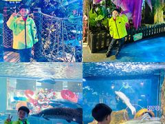 -顺德南宏海立方海洋公园