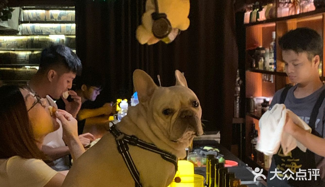 深夜放松一杯酒