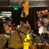 深夜放松一杯酒