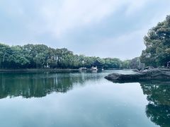 -鲁镇