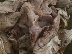 豆干-老王豆皮