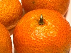 -道道鲜·崇明私房菜(延安西路店)