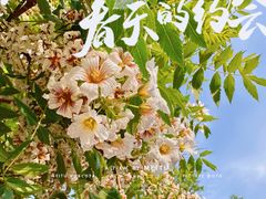 -北京石刻艺术博物馆(五塔寺)