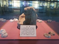 -古陶文明博物馆