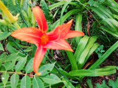 -长春市南湖公园