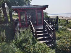 -观澜小洱海