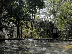 -溧阳天目湖天沐温泉