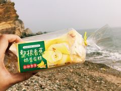 -大连金石滩滨海国家地质公园