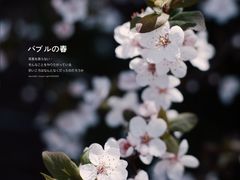 -龙洞风景区-藏龙涧