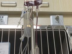 -康成宠物医院24H·CT·核磁共振