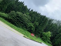-武陵山森林公园
