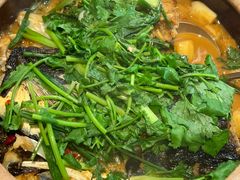 -九道菜有鸡鱼头(石鼓路店)