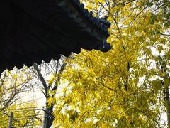 -嵩祝寺及智珠寺