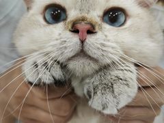 -瑞鹏宠物医院·超声·骨科·奇麟分院(蜀都万达店)