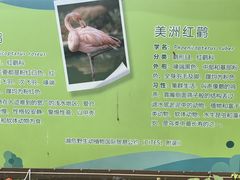 -宁波野生动物园