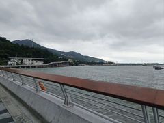 -招商蛇口邮轮母港(观光客运)
