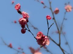 -月湖风景区