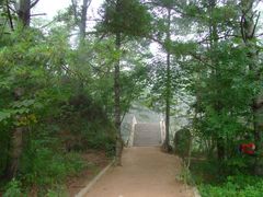 -洛阳白云山景区