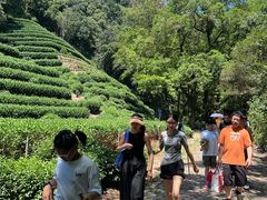 -龙井壹号·茶缘山景宴(龙井村店)