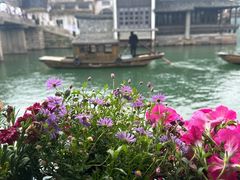 -乌镇景区