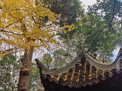 -秋霞圃