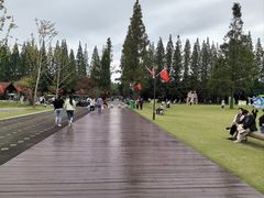 -黄海国家森林公园