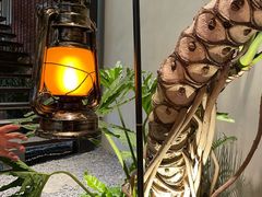 -J Create城市露营咖啡·简餐·宠物(上海动物园店)