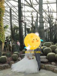 点击看大图 -雪中彩影婚纱摄影·微光艺术中心