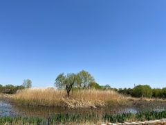 -大兴滨河森林公园