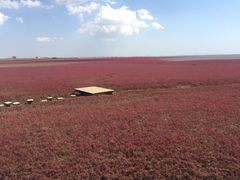 -红海滩国家风景廊道