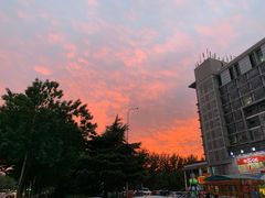 -劈柴院锅贴(沈阳路店)