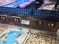 -加餐海鲜自助(宝龙一城店)