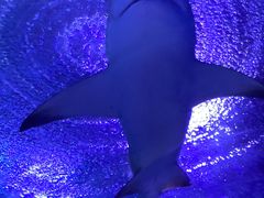 -常州海昌海洋探索馆