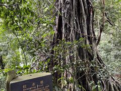 -中国科学院西双版纳热带植物园