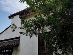 -尚贤河湿地