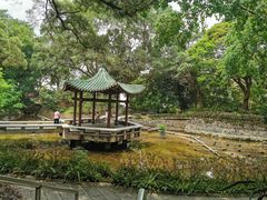 -九龙公园